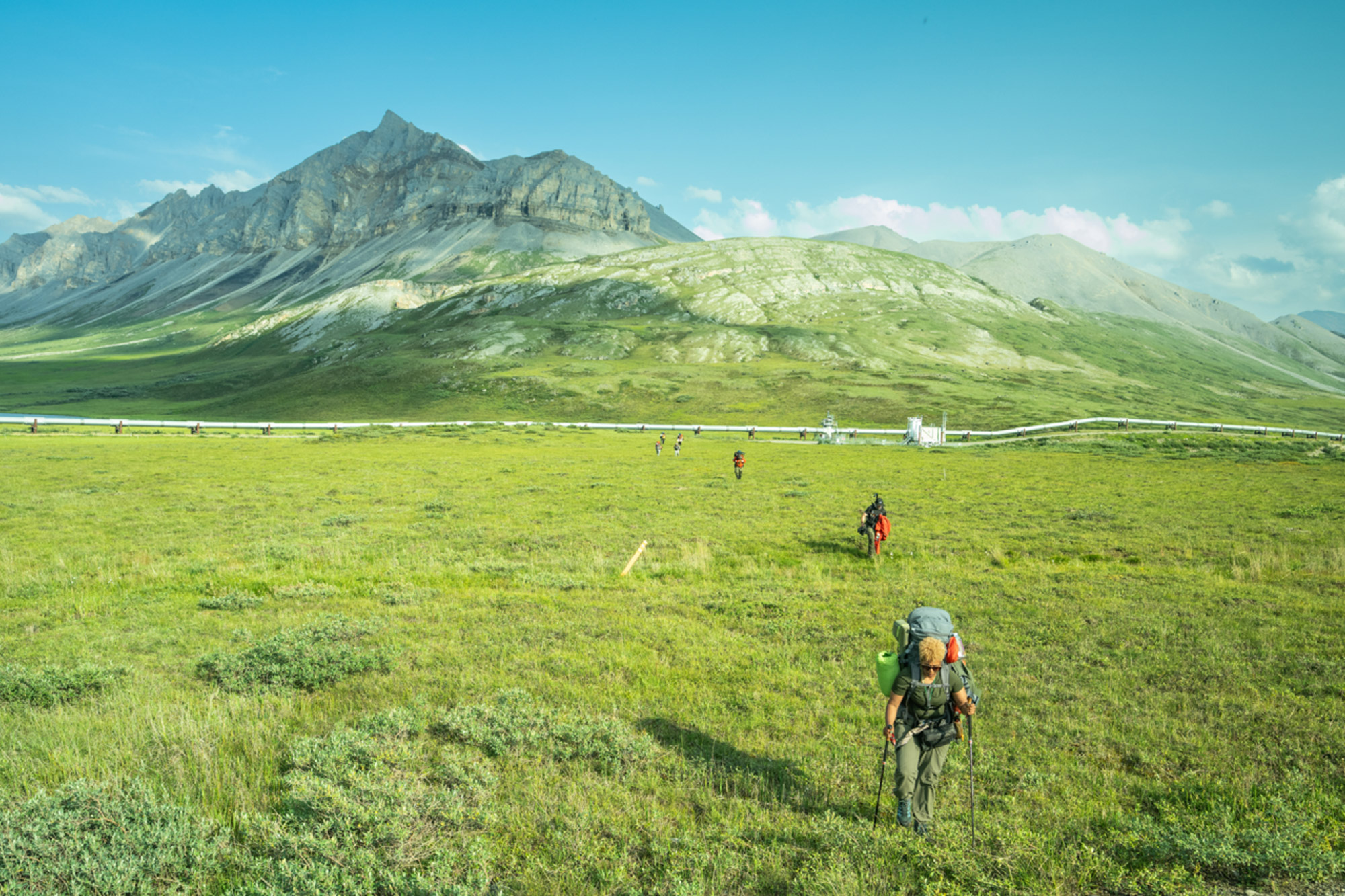 Uniting Voices for Conservation