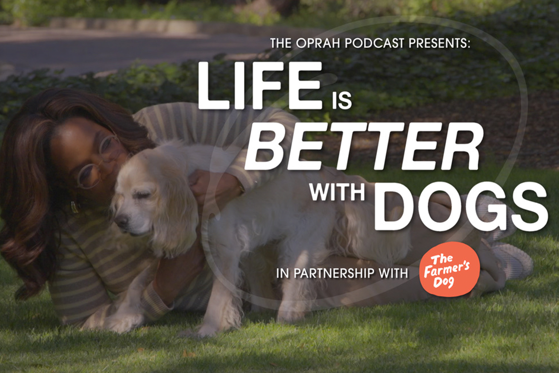Life is Better with Dogs